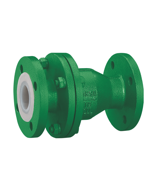 Fluorine-lined check valve