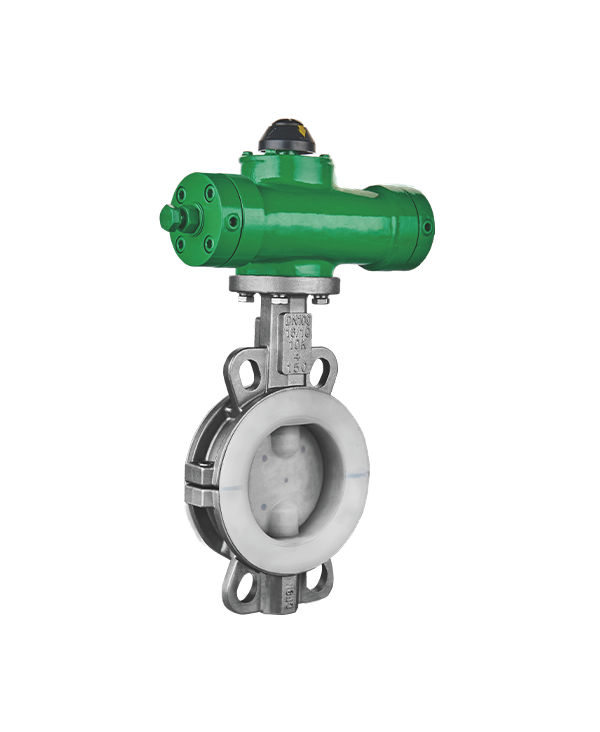 Fluorine lined butterfly valve